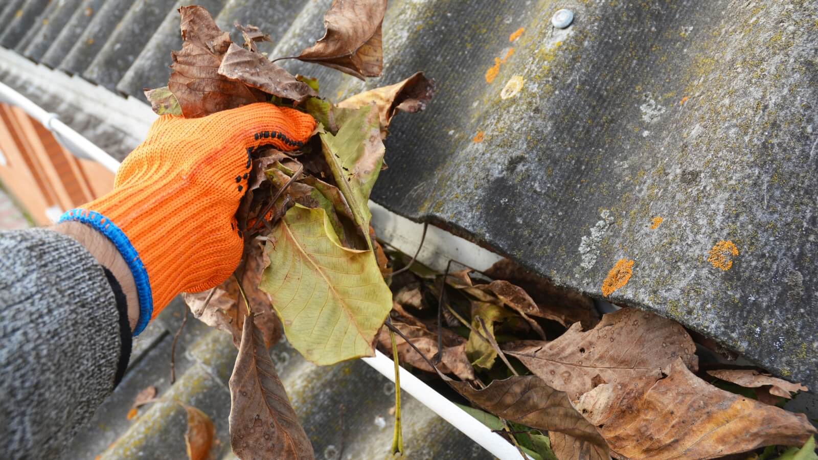 cleaning out gutters