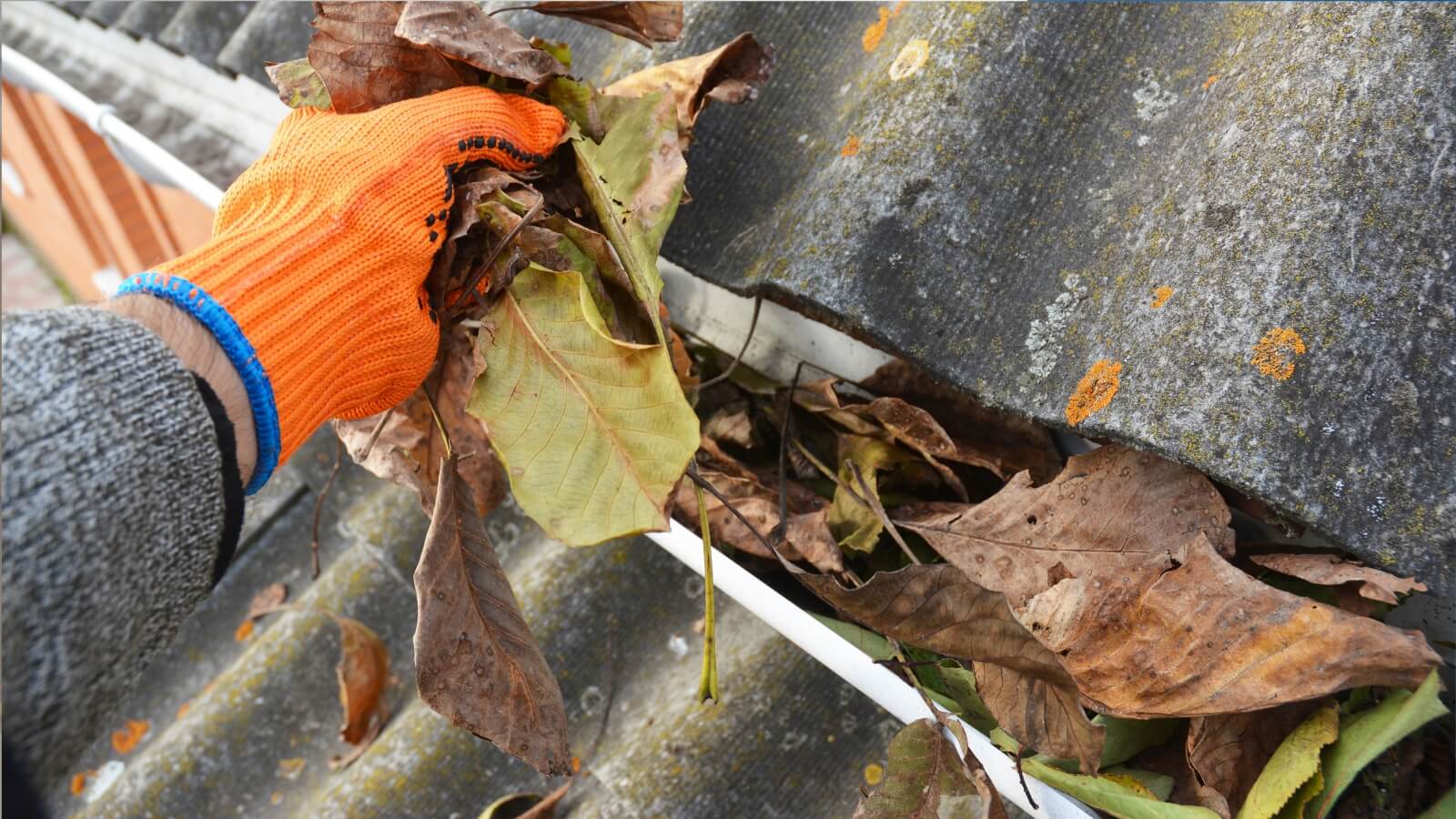 close up of a hand cleaning the gutter