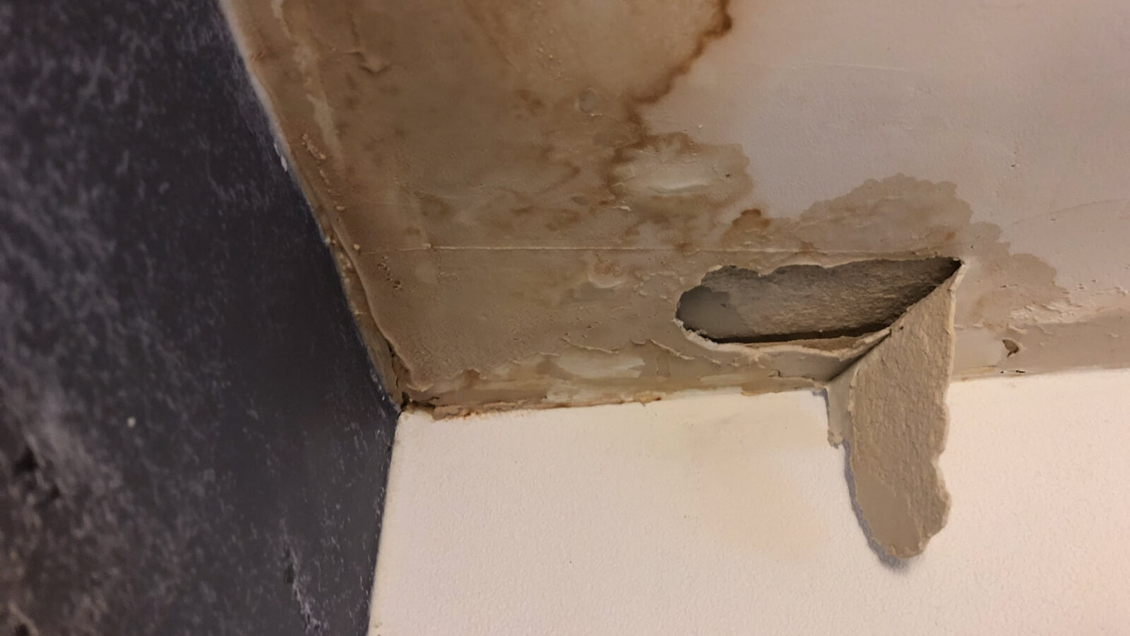 roof with a terrible leak