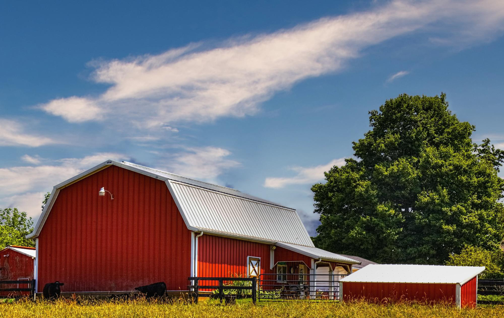 A pole barn with cows in a field